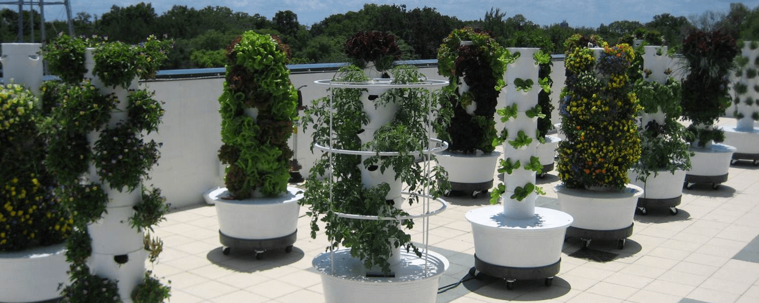 Q and A: The Tower Garden™