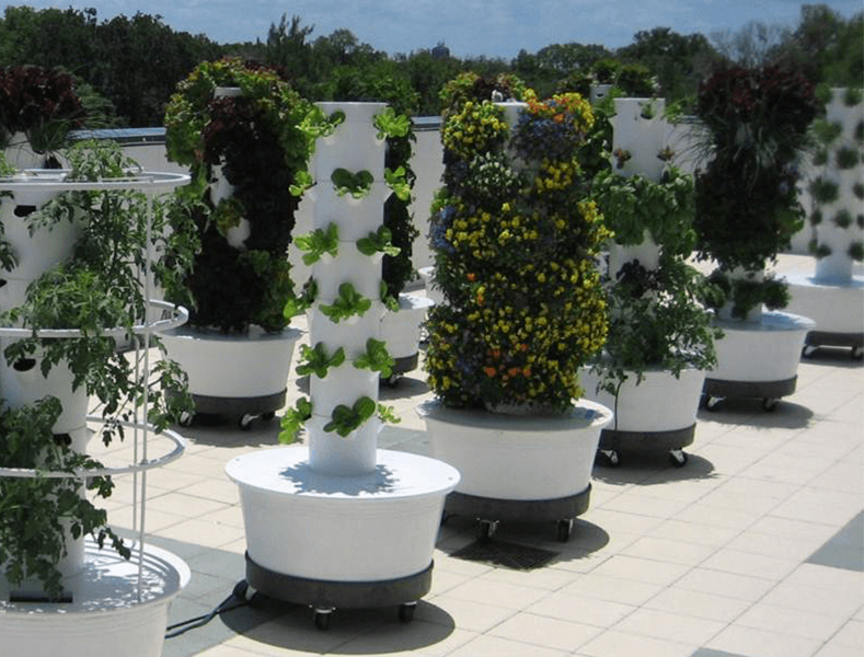 Product Recommendation: Tower Gardens