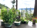 Healthy Lifestyle Healthy Living Wellness Dr Mitra Ray healthy-lifestyle-healthy-living-wellness-dr-mitra-ray